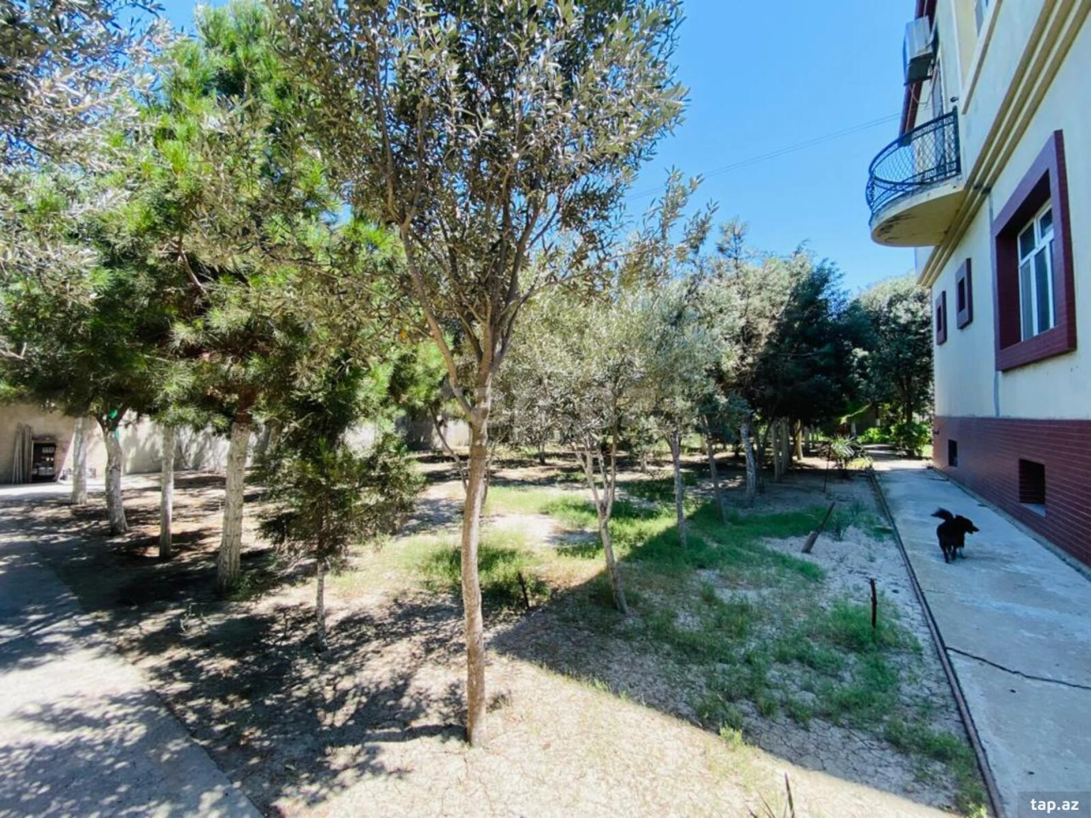 Satılır 5 otaqlı həyət evi