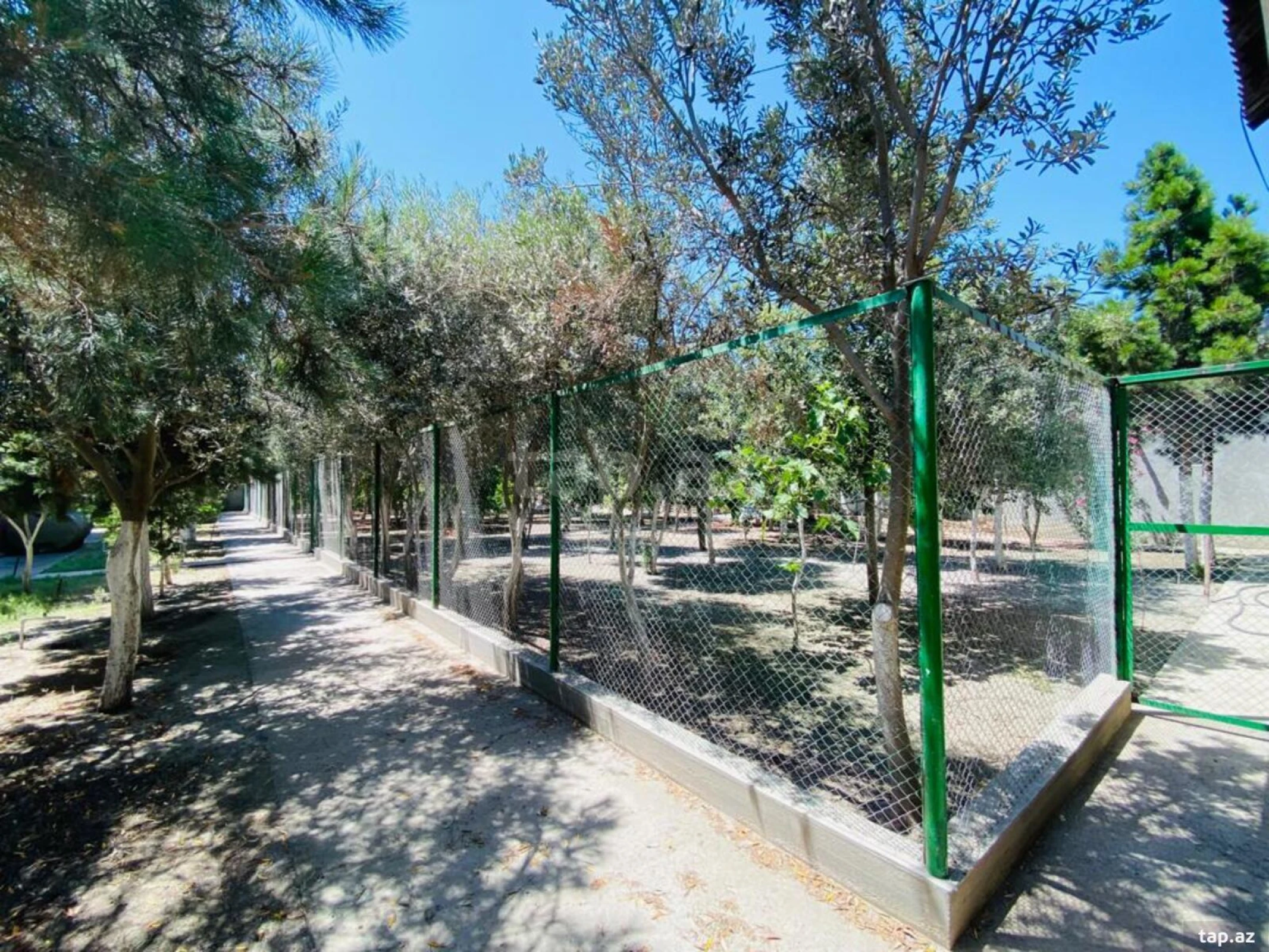 Satılır 5 otaqlı həyət evi