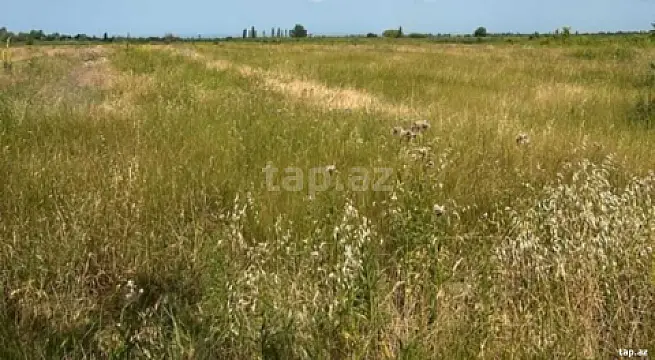 Satılır torpaq sahəsi — Quba