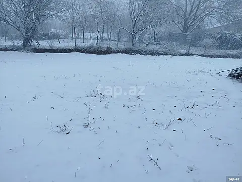 Satılır torpaq sahəsi — Şamaxı