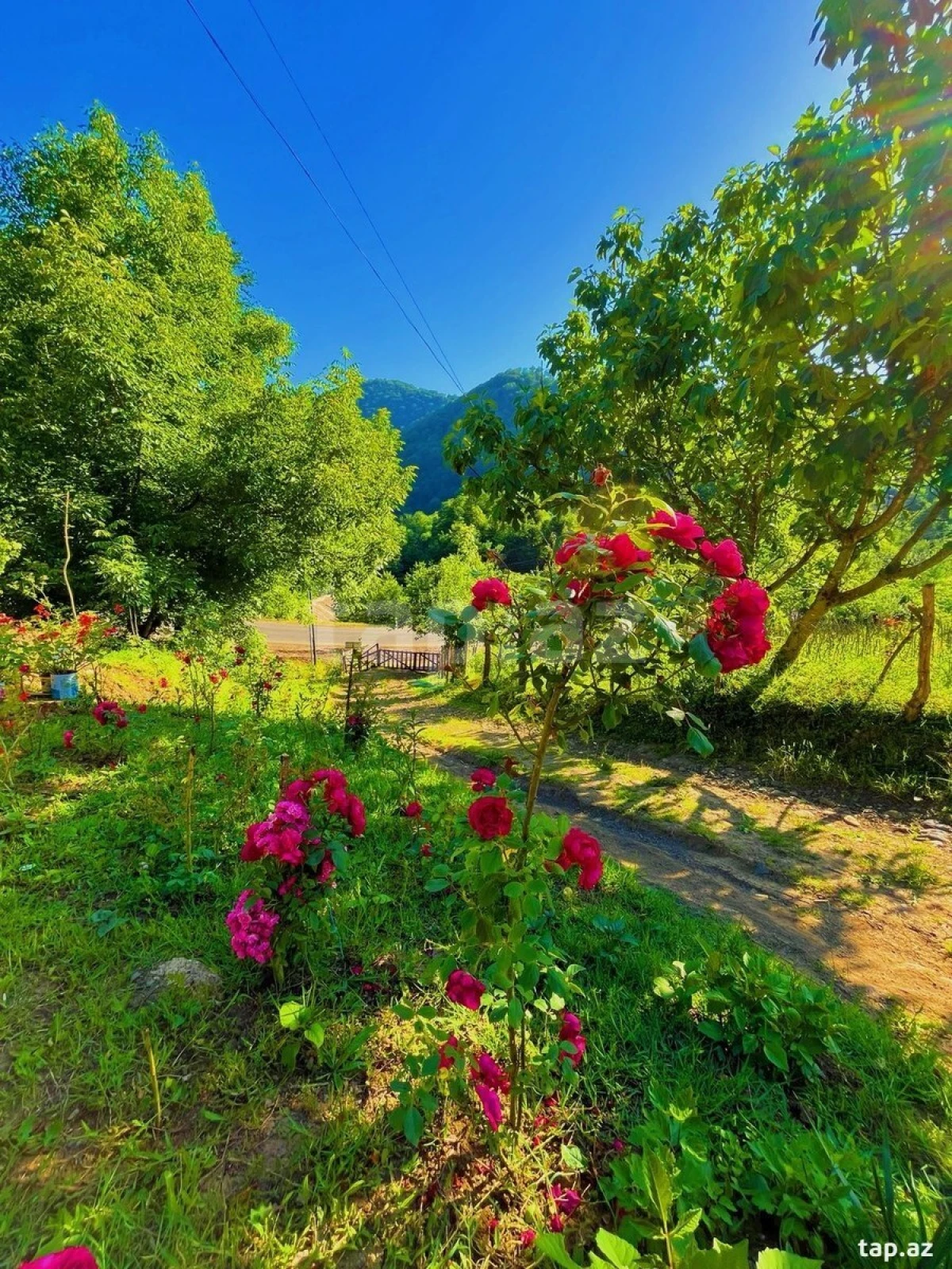 Kirayə verilir 4 otaqlı həyət evi