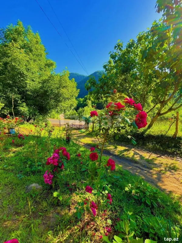 Kirayə verilir 4 otaqlı həyət evi