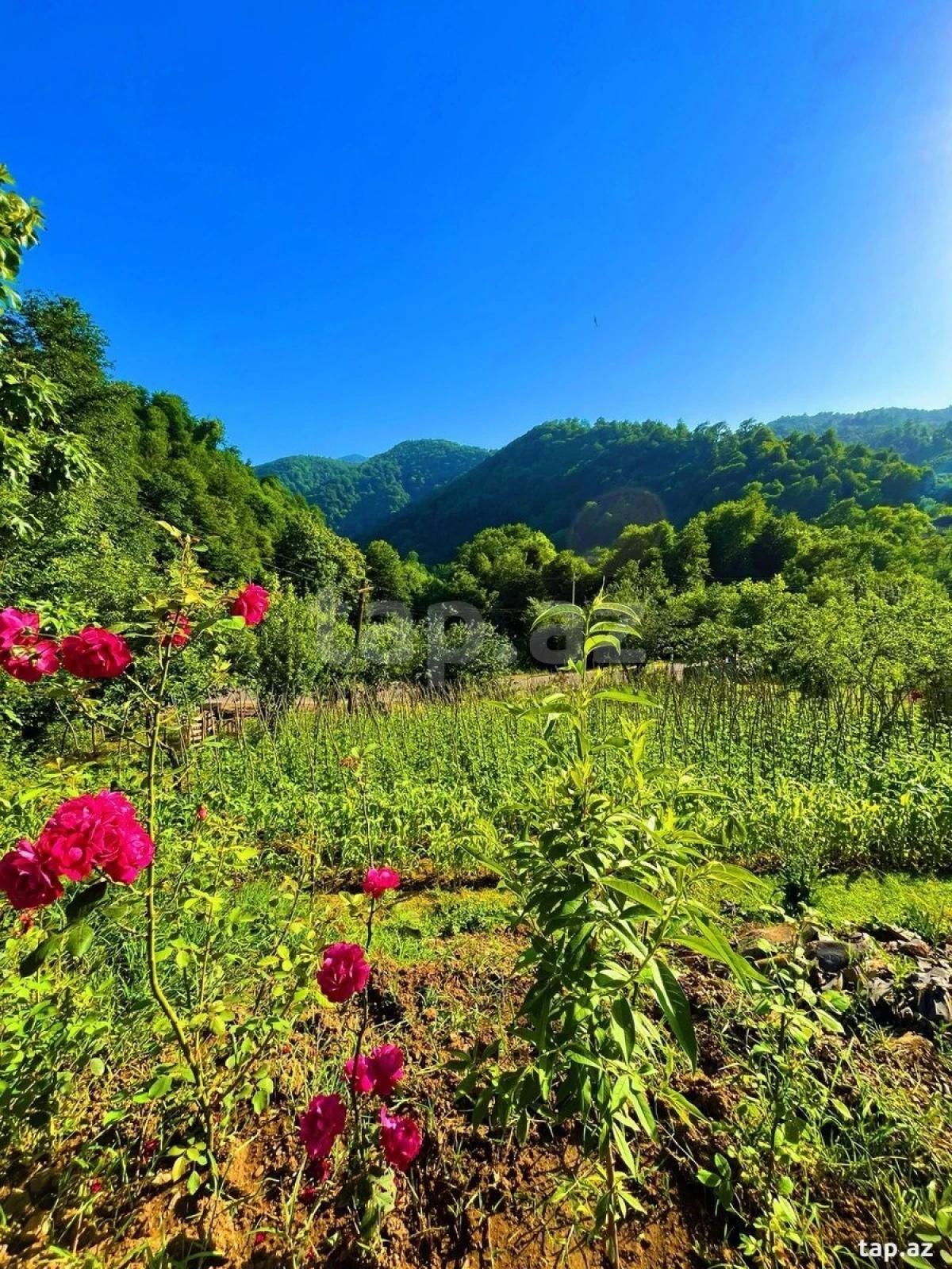 Kirayə verilir 4 otaqlı həyət evi