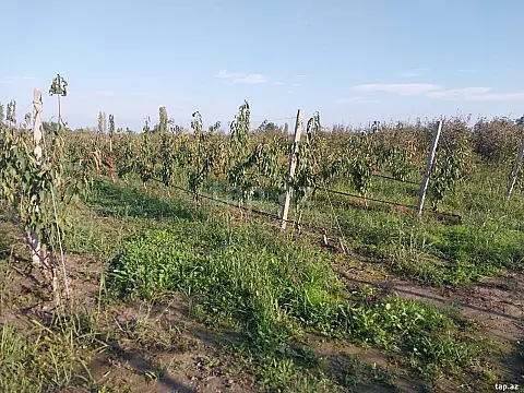 Satılır torpaq sahəsi