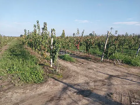 Satılır torpaq sahəsi