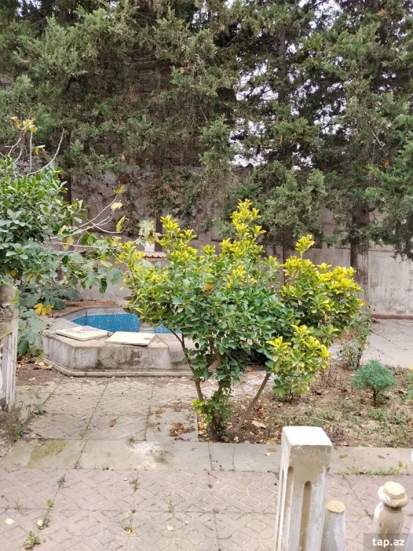 Kirayə verilir 5 otaqlı həyət evi