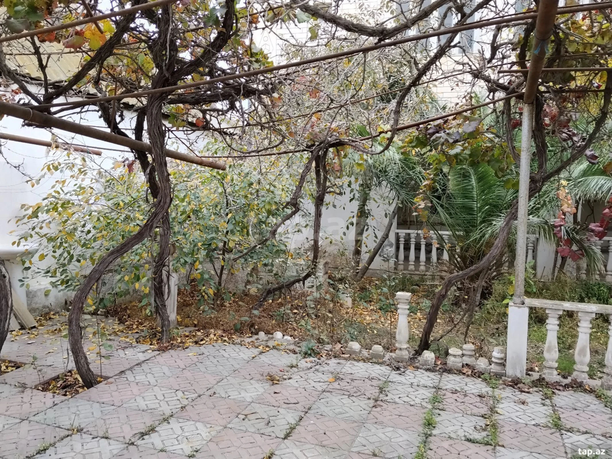 Kirayə verilir 5 otaqlı həyət evi