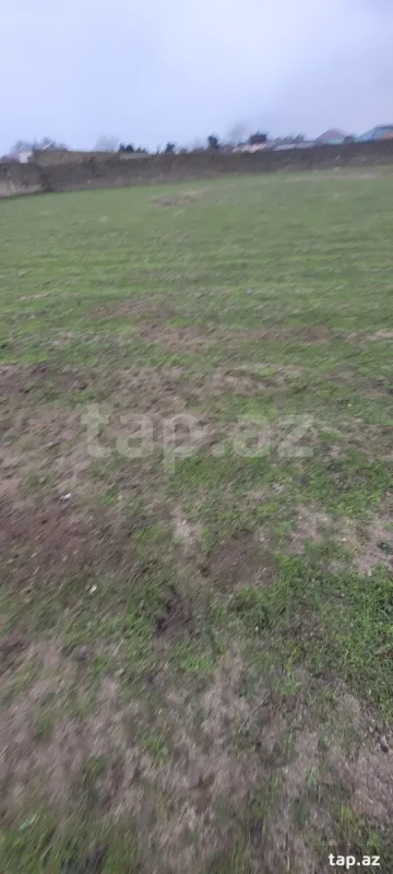 Satılır torpaq sahəsi