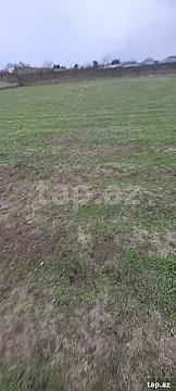 Satılır torpaq sahəsi — Bakı, Nardaran