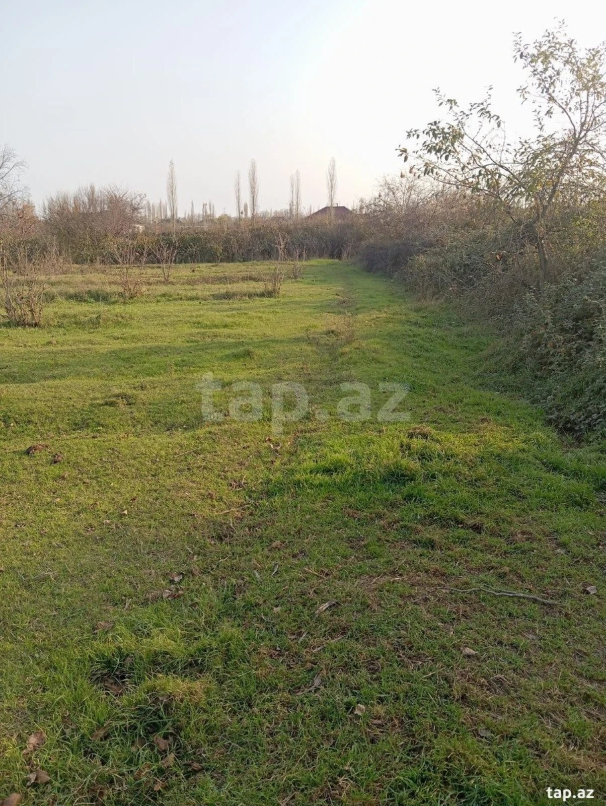 Satılır torpaq sahəsi