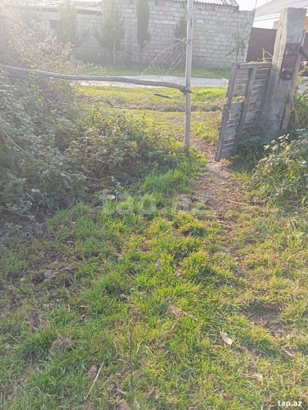 Satılır torpaq sahəsi