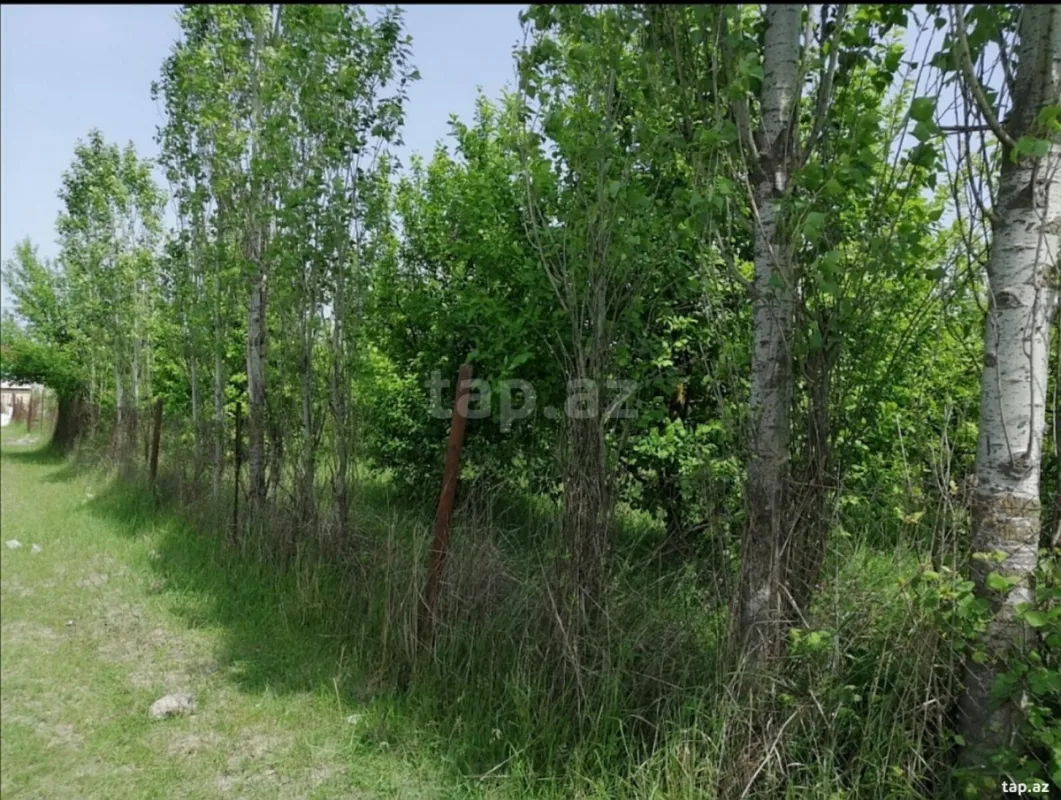 Satılır torpaq sahəsi