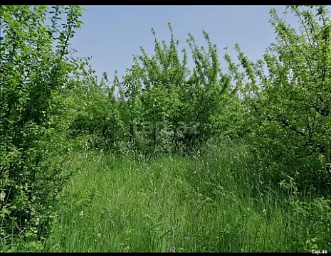 Satılır torpaq sahəsi — Quba