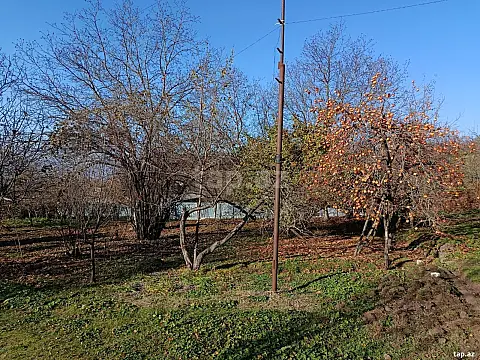 Satılır torpaq sahəsi — İsmayıllı