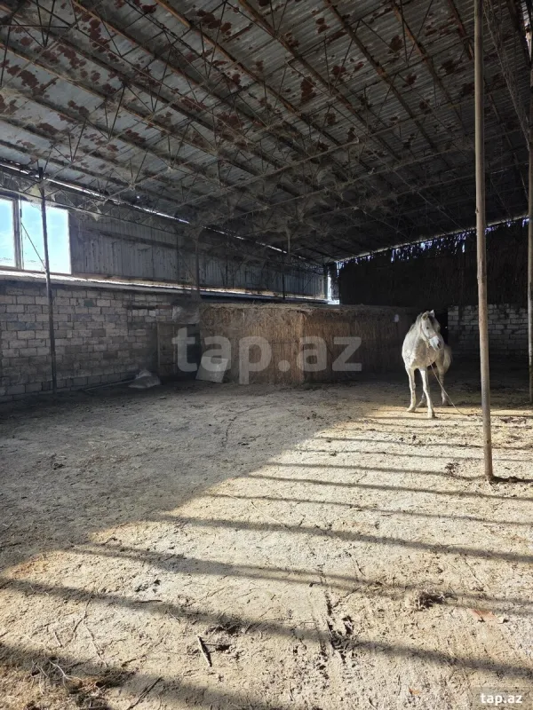 Kirayə verilir obyekt