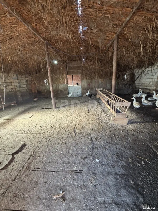 Kirayə verilir obyekt