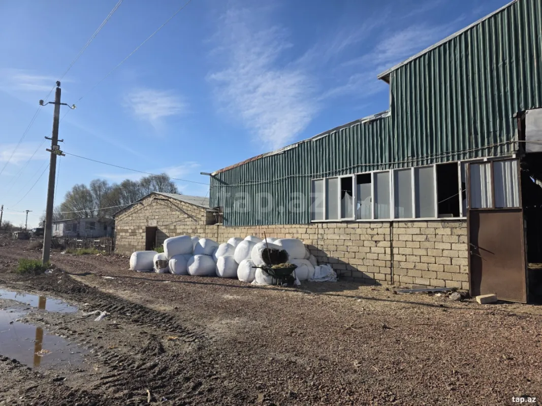 Kirayə verilir obyekt