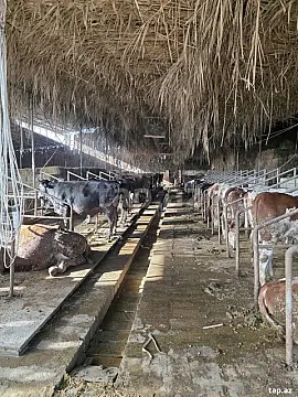 Kirayə verilir obyekt