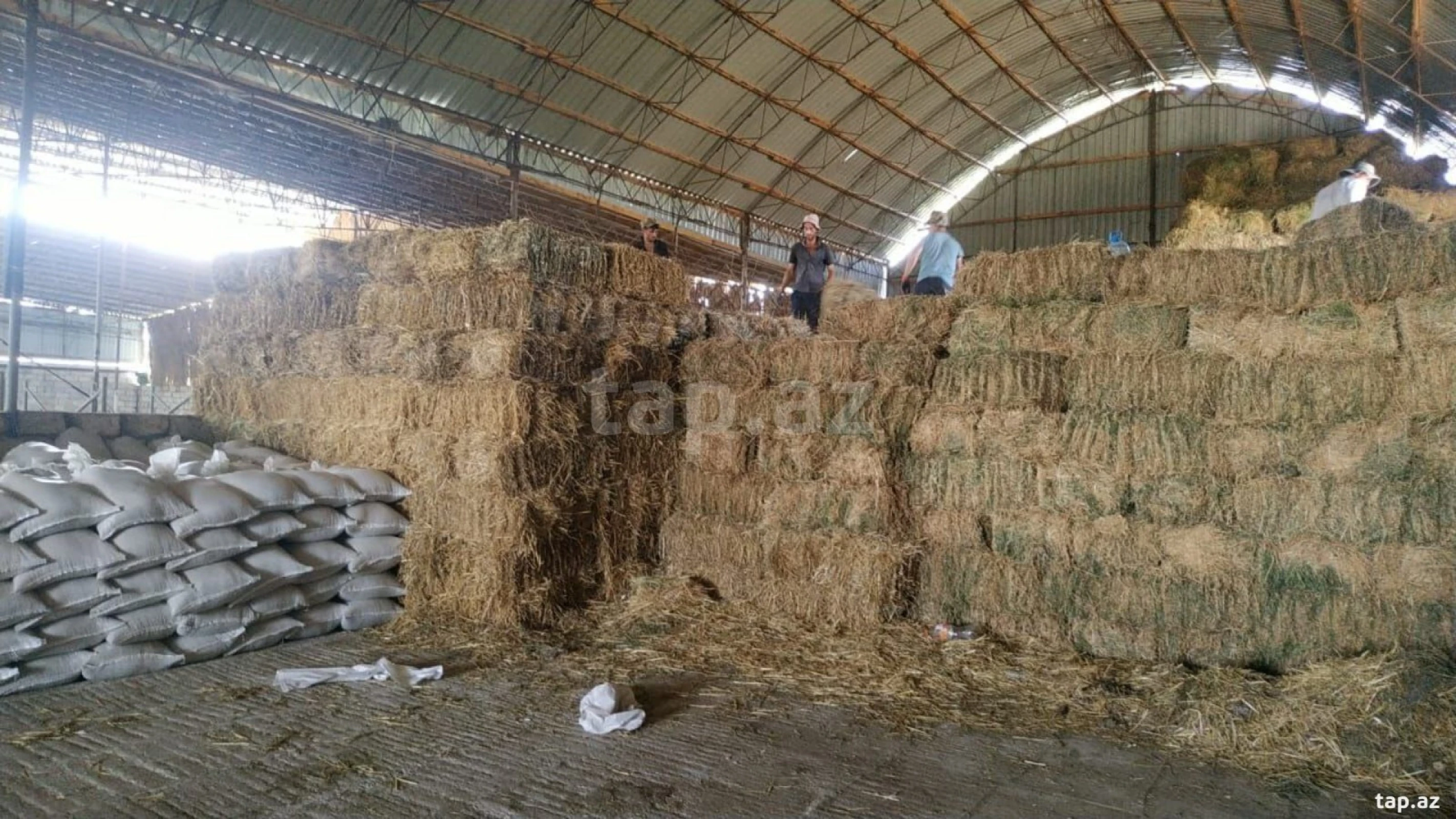 Kirayə verilir obyekt