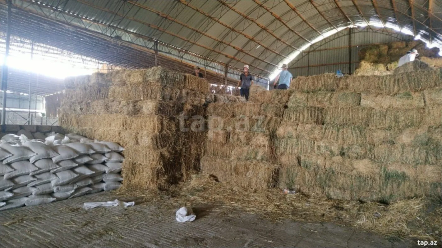 Kirayə verilir obyekt