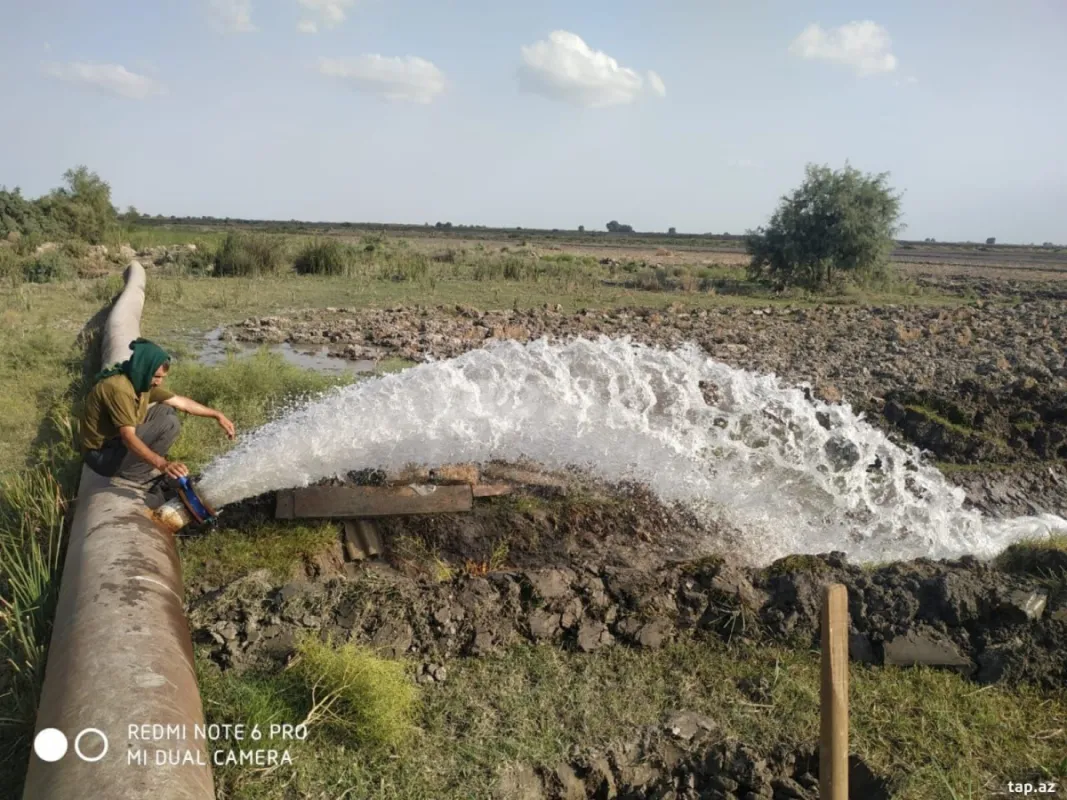 Kirayə verilir obyekt