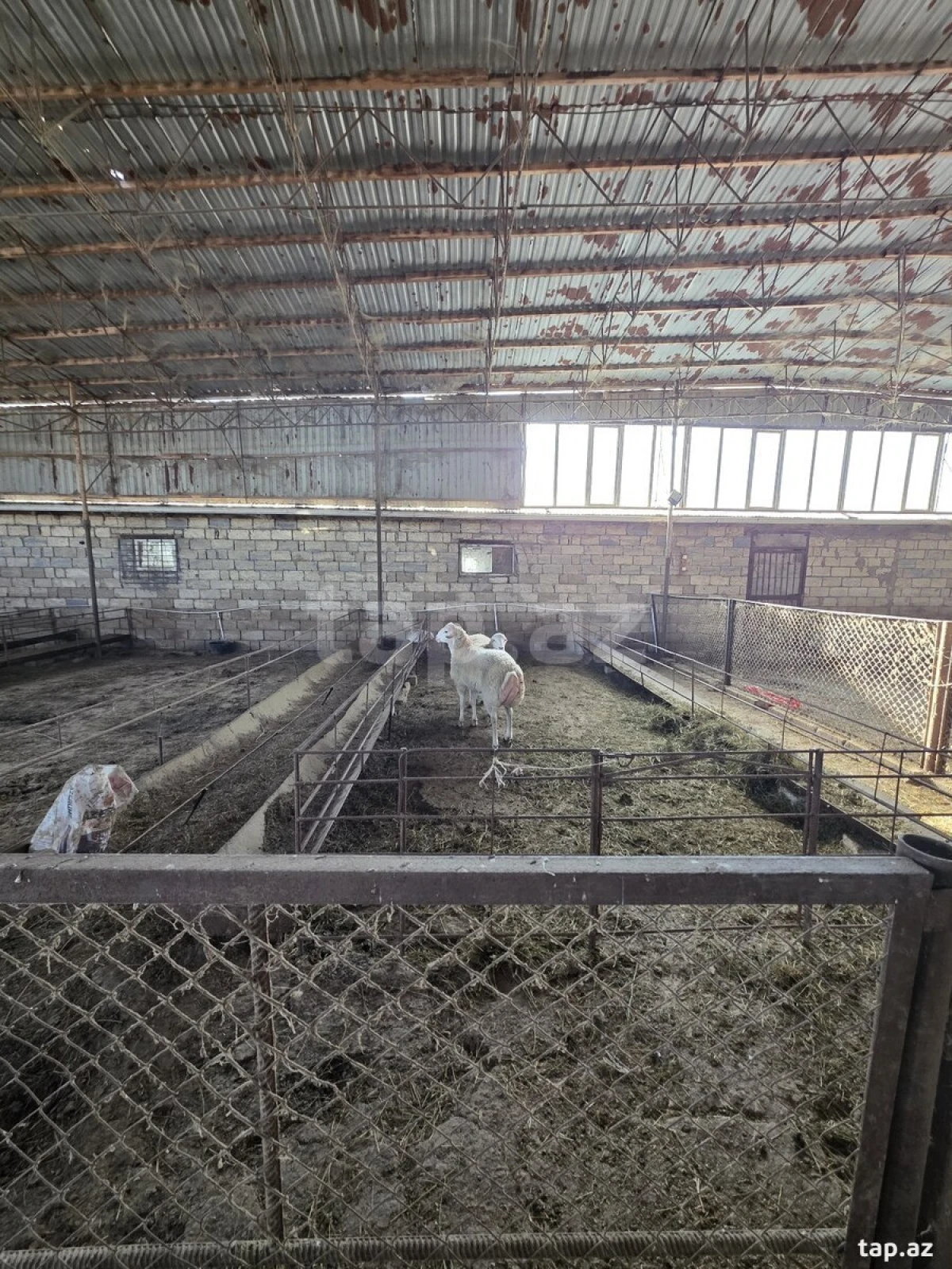 Kirayə verilir obyekt