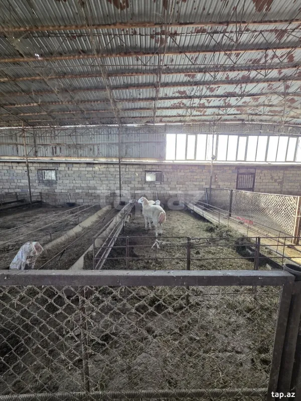 Kirayə verilir obyekt