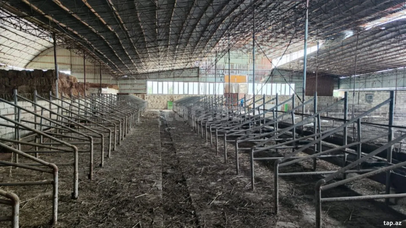 Kirayə verilir obyekt