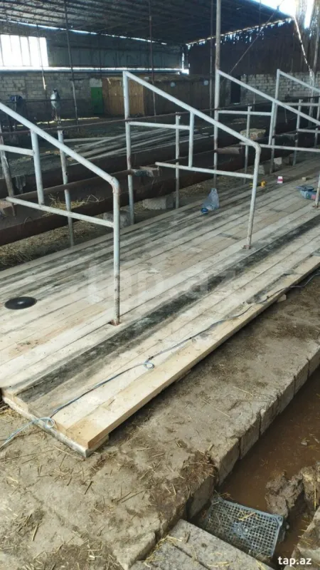 Kirayə verilir obyekt