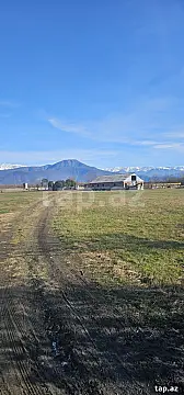 Satılır torpaq sahəsi — Zaqatala