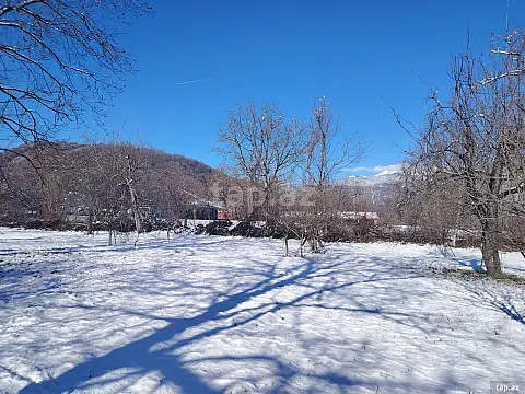 Satılır torpaq sahəsi — Qəbələ