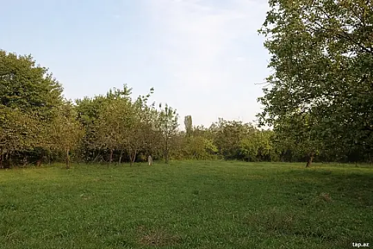 Satılır torpaq sahəsi — Bərdə