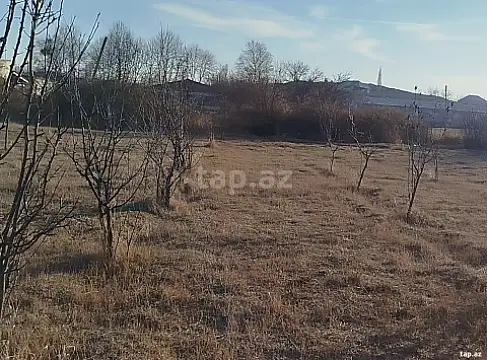 Satılır torpaq sahəsi — Gəncə