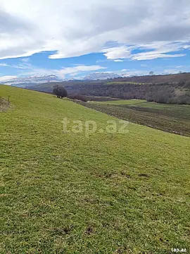 Satılır torpaq sahəsi — Qusar