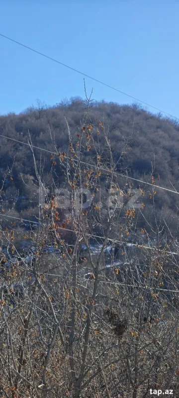 Satılır torpaq sahəsi