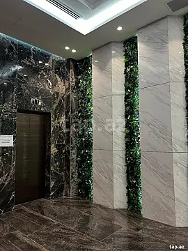 Kirayə verilir obyekt — Bakı