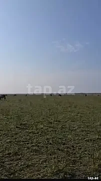 Satılır torpaq sahəsi — Samux