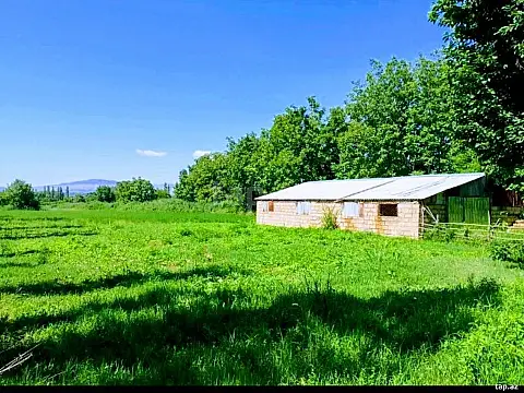 Satılır torpaq sahəsi — Şəki