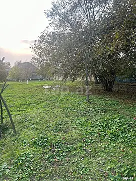 Satılır torpaq sahəsi — Qəbələ