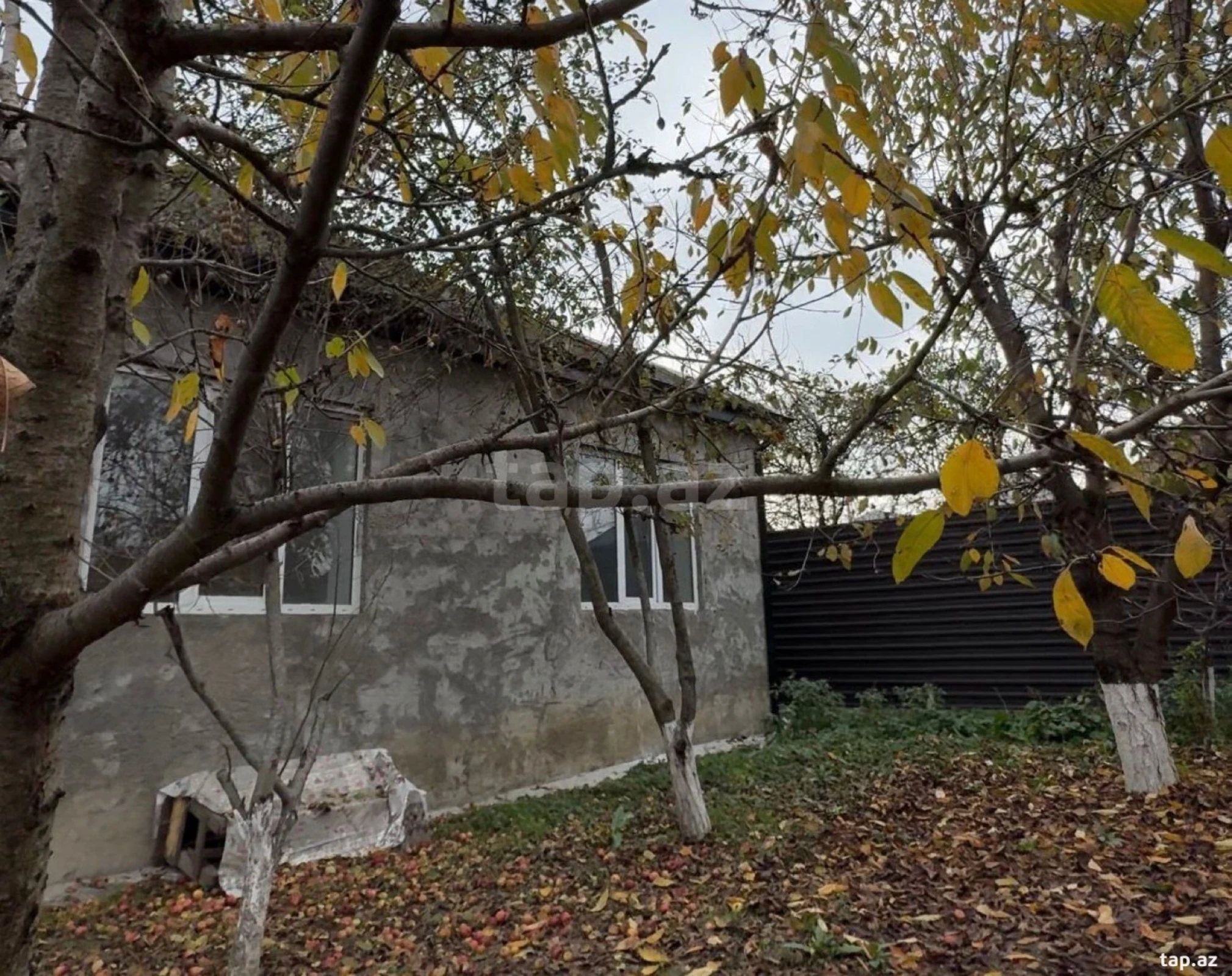 Satılır 3 otaqlı həyət evi