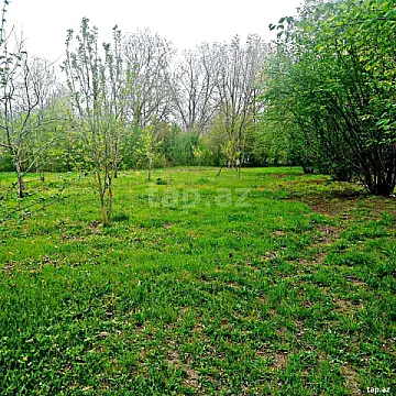 Satılır torpaq sahəsi — Qəbələ