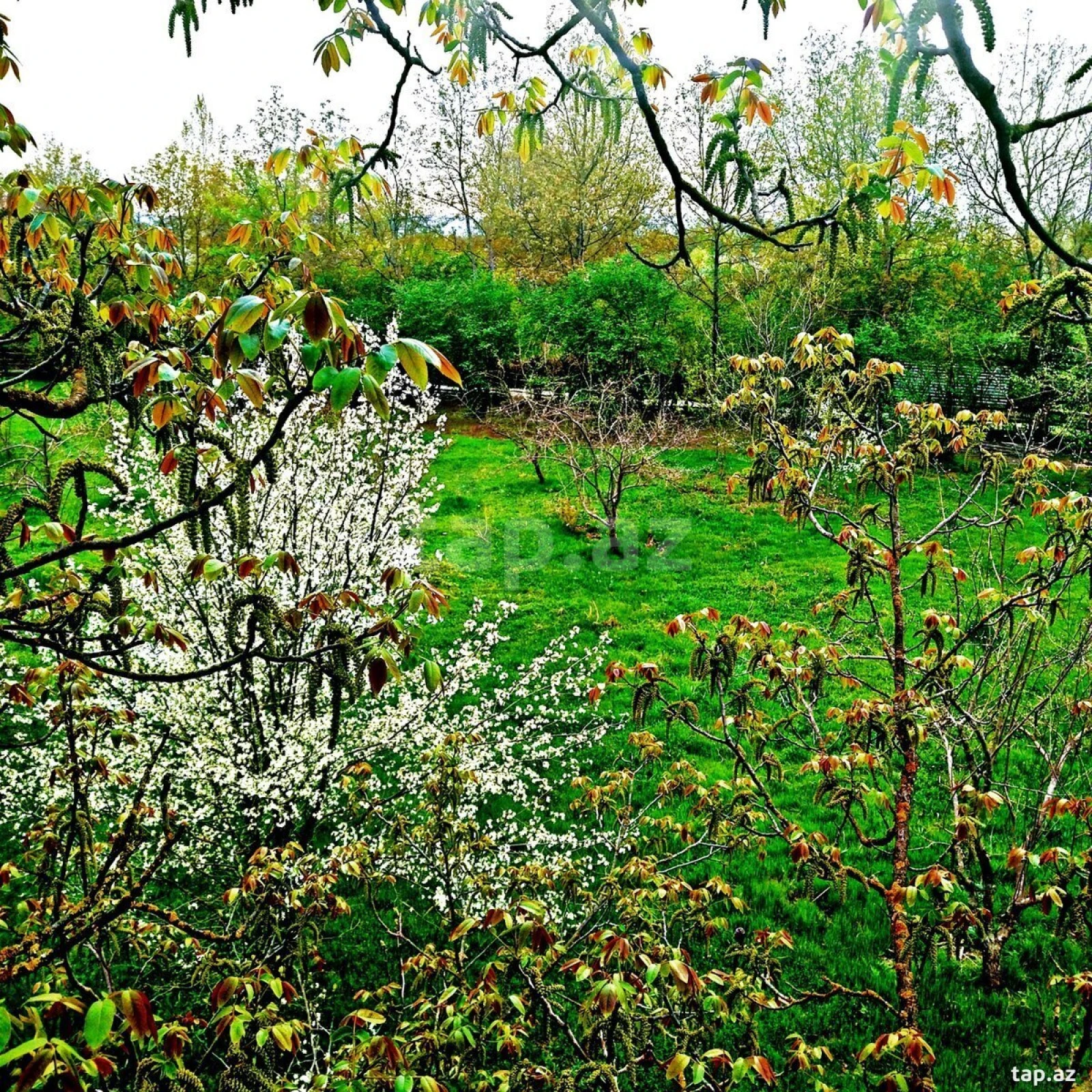 Satılır torpaq sahəsi