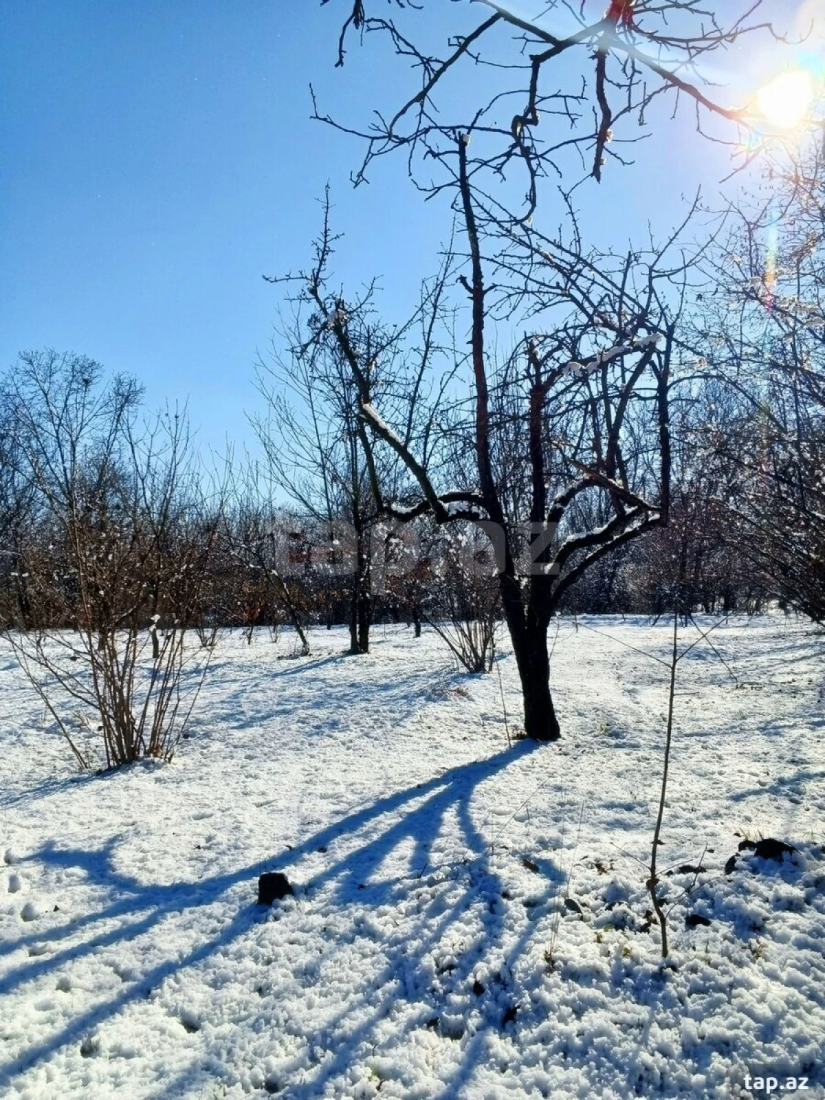 Satılır torpaq sahəsi