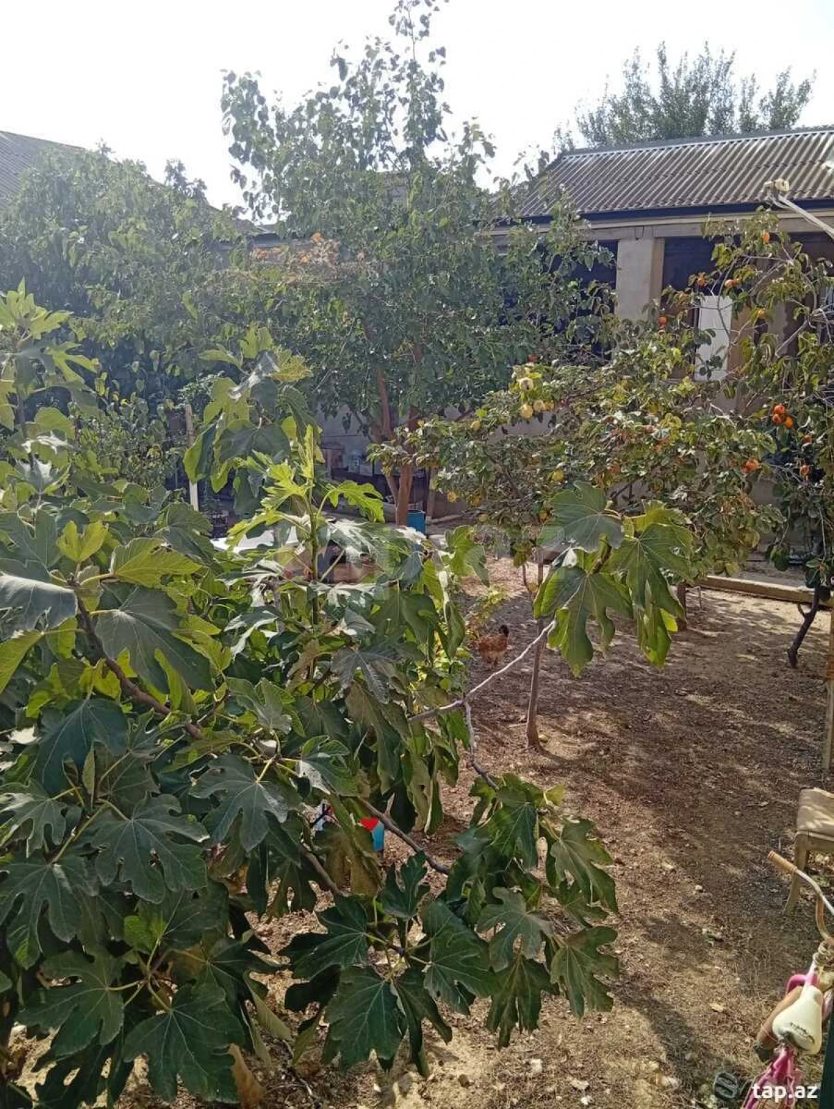 Satılır 4 otaqlı həyət evi