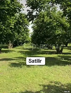 Satılır torpaq sahəsi — Qəbələ