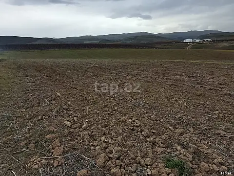 Satılır torpaq sahəsi — Şabran