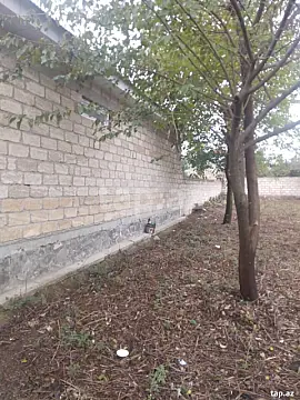 Satılır torpaq sahəsi — Şəki