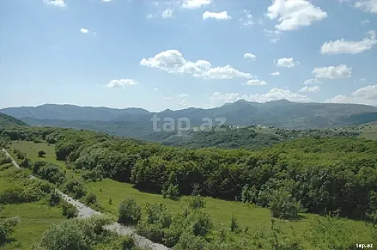 Satılır torpaq sahəsi — Şamaxı