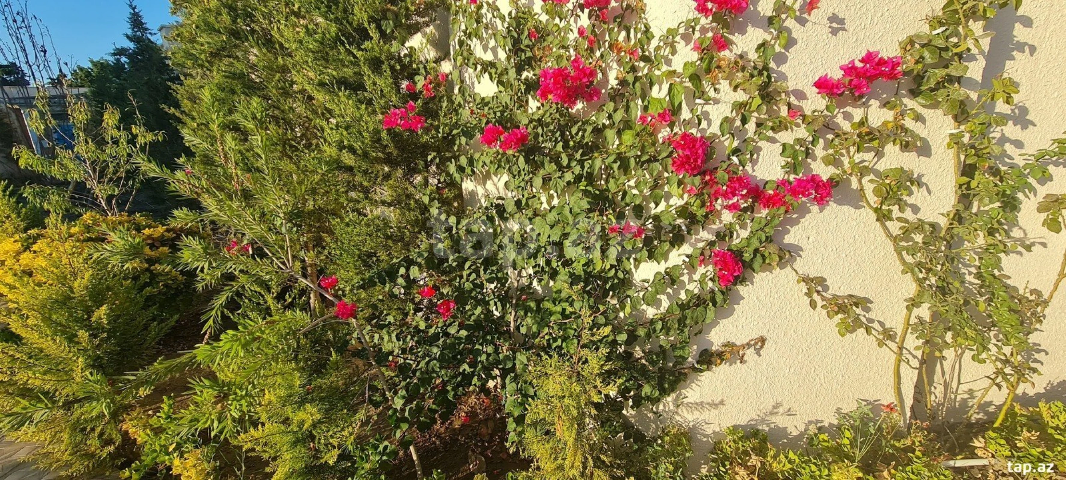 Kirayə verilir 6 otaqlı həyət evi