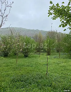 Satılır torpaq sahəsi — Qəbələ